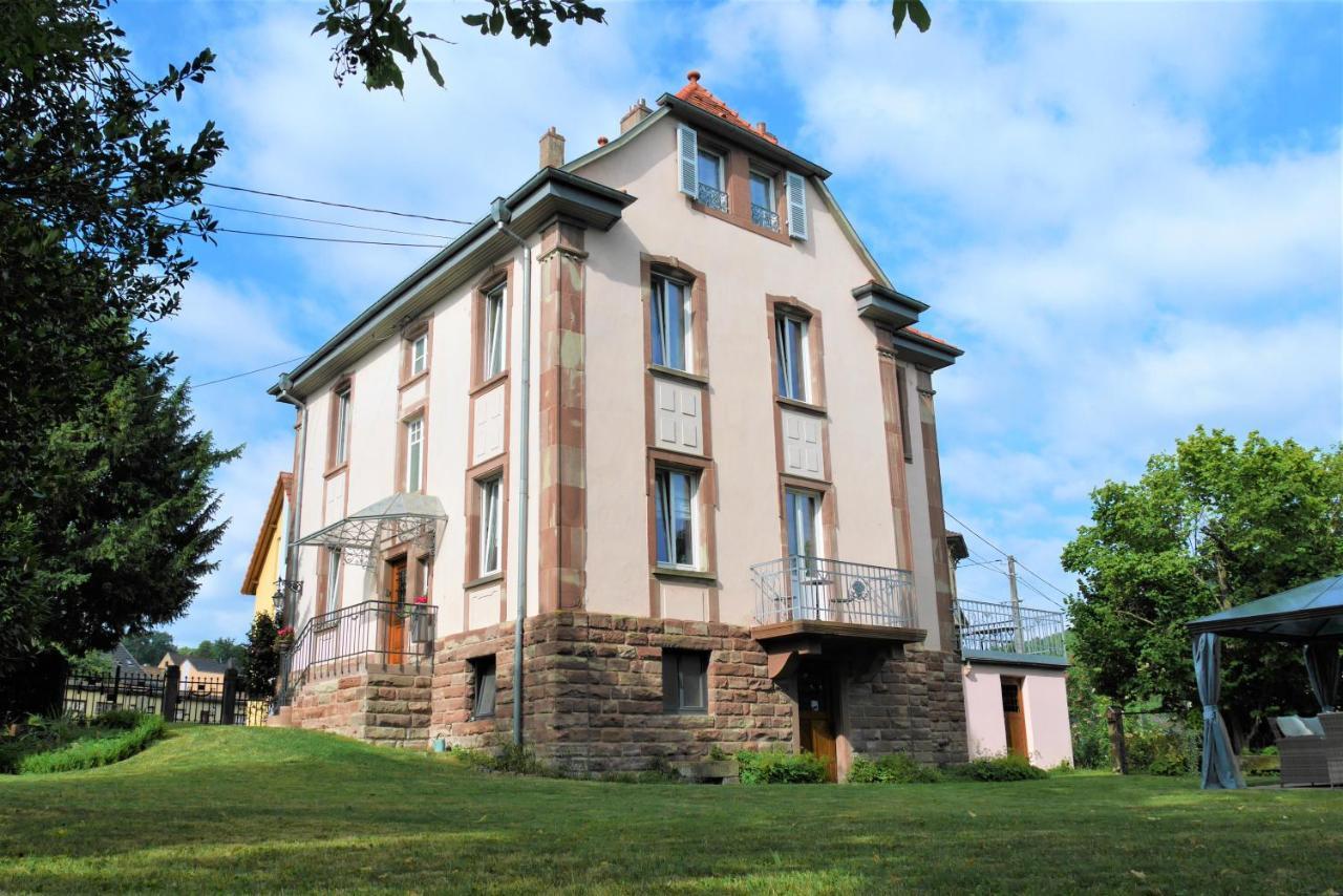 Le Jardin Des Roses Apartman Saverne Kültér fotó