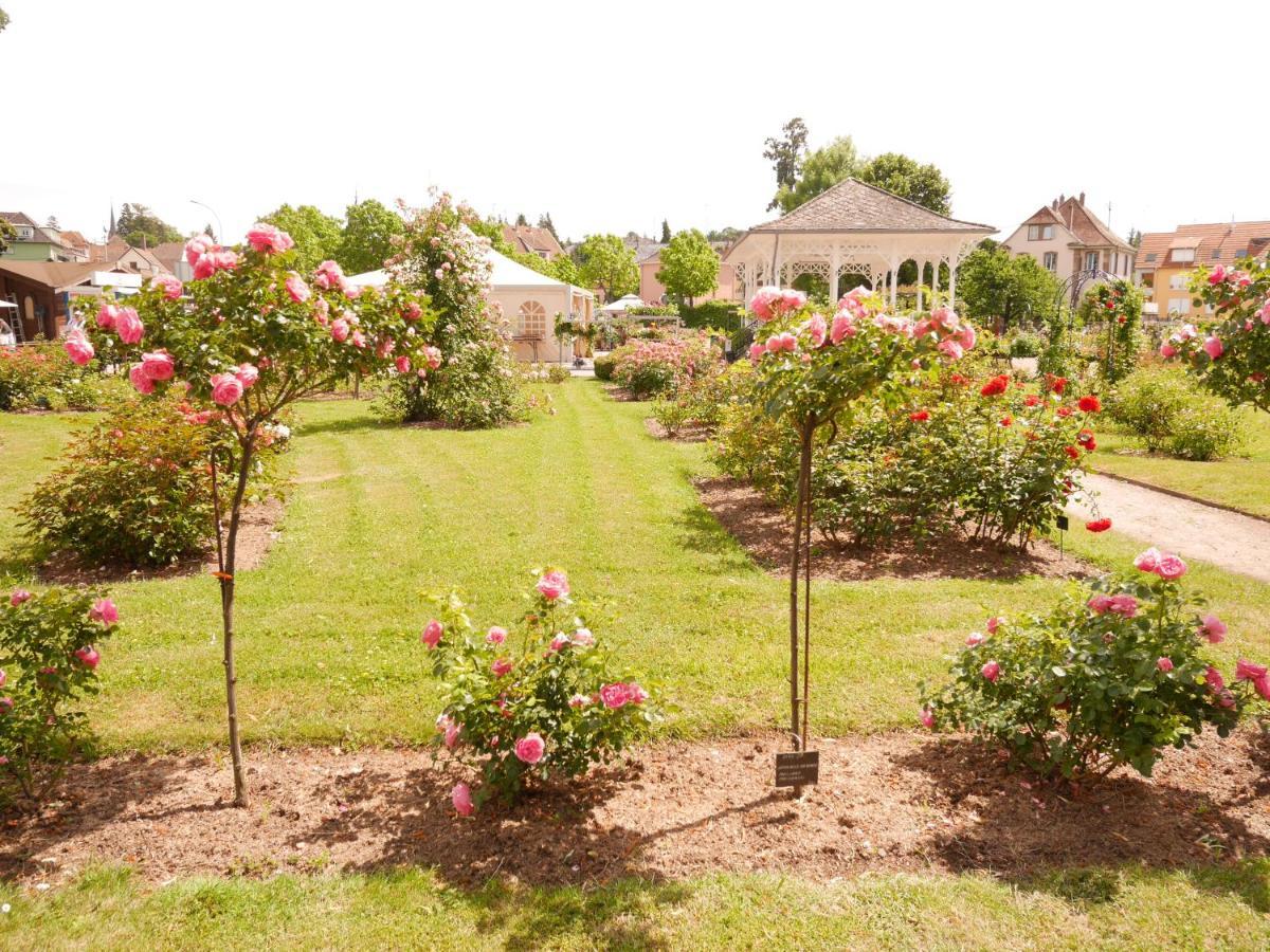 Le Jardin Des Roses Apartman Saverne Kültér fotó