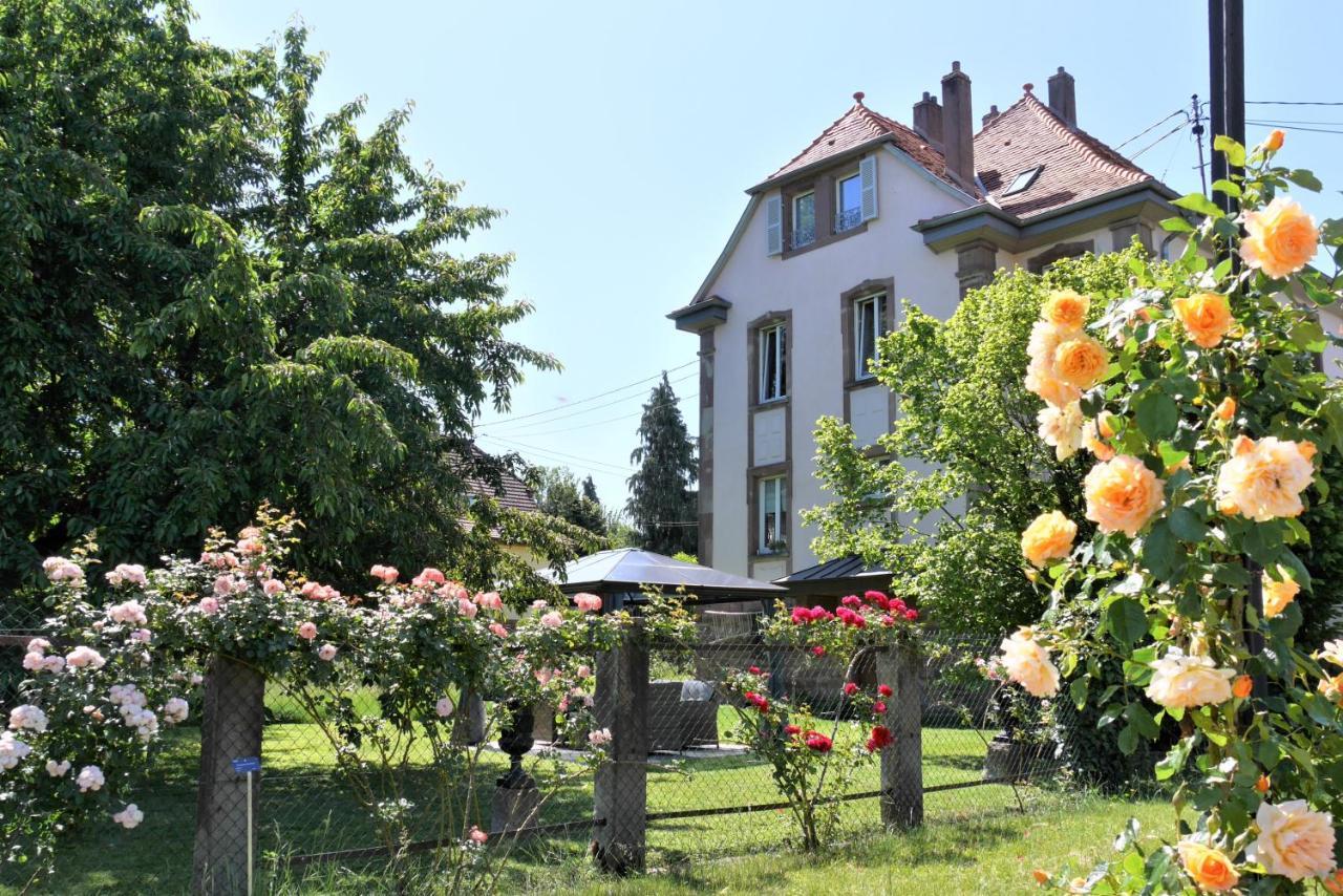 Le Jardin Des Roses Apartman Saverne Kültér fotó