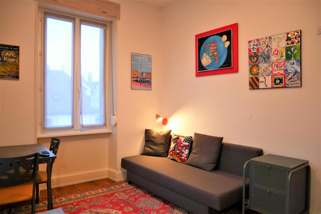 Le Jardin Des Roses Apartman Saverne Kültér fotó