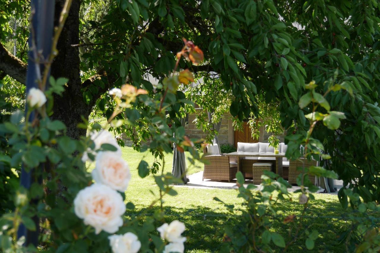 Le Jardin Des Roses Apartman Saverne Kültér fotó