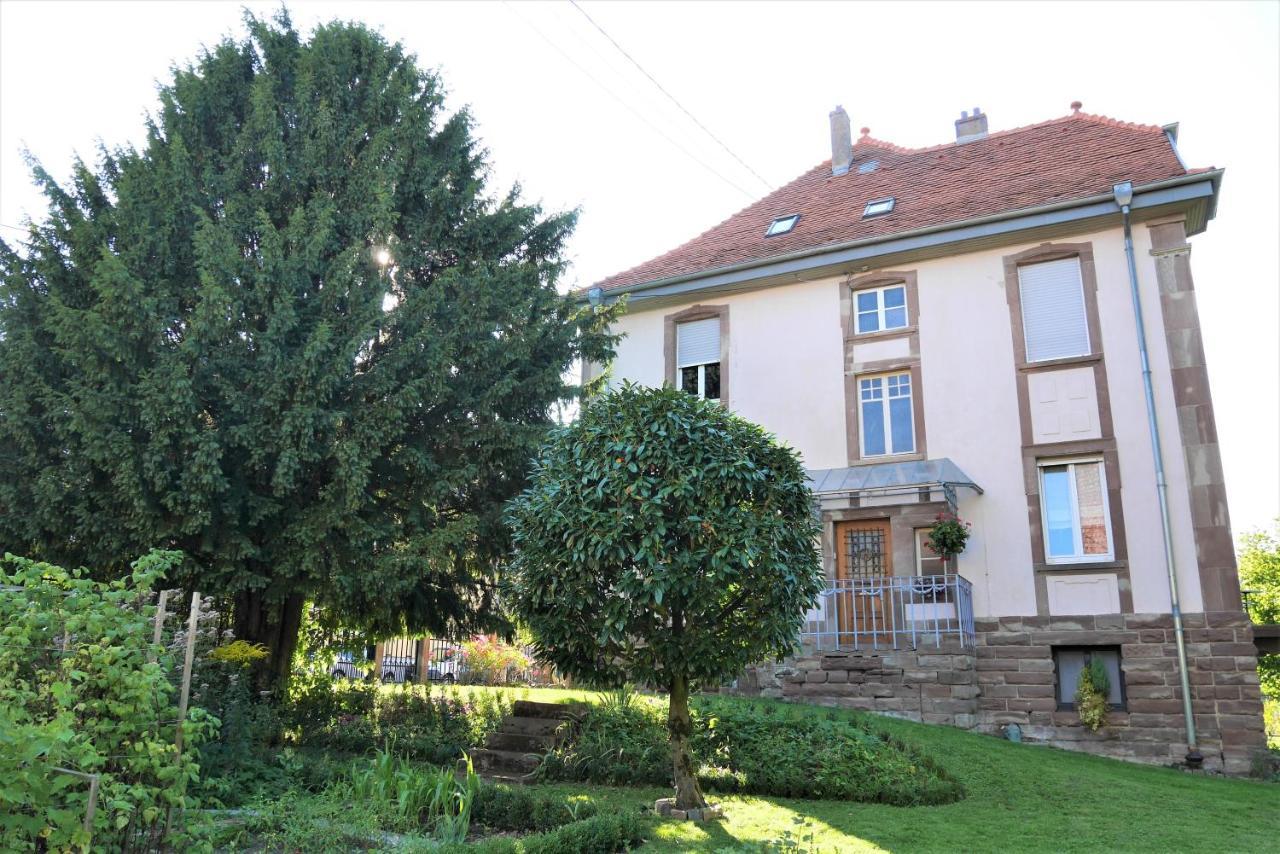 Le Jardin Des Roses Apartman Saverne Kültér fotó