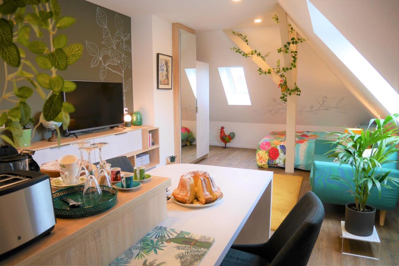 Le Jardin Des Roses Apartman Saverne Kültér fotó