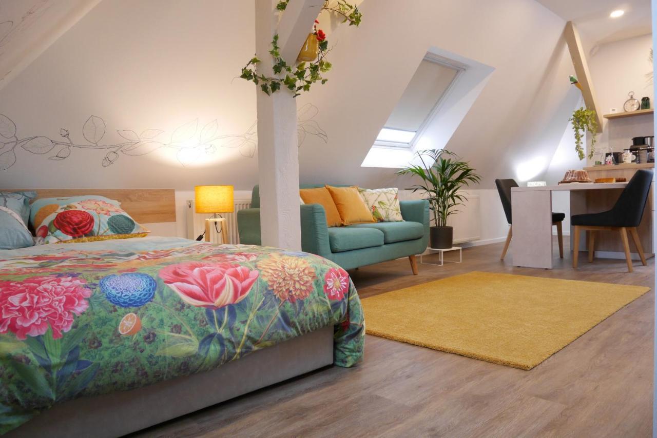 Le Jardin Des Roses Apartman Saverne Kültér fotó