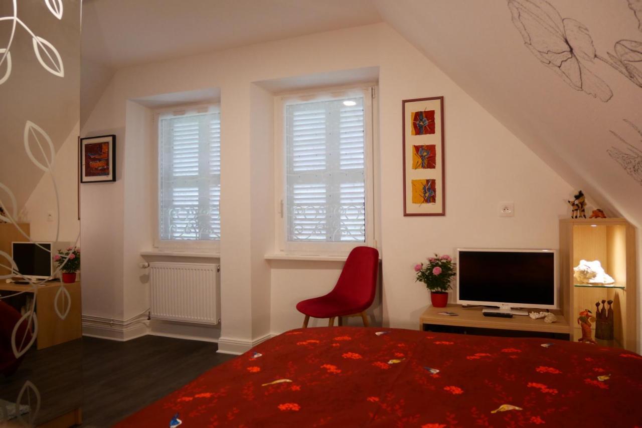 Le Jardin Des Roses Apartman Saverne Kültér fotó