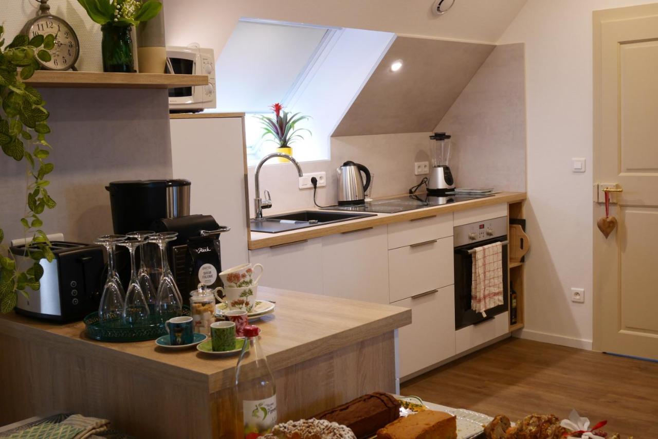 Le Jardin Des Roses Apartman Saverne Kültér fotó