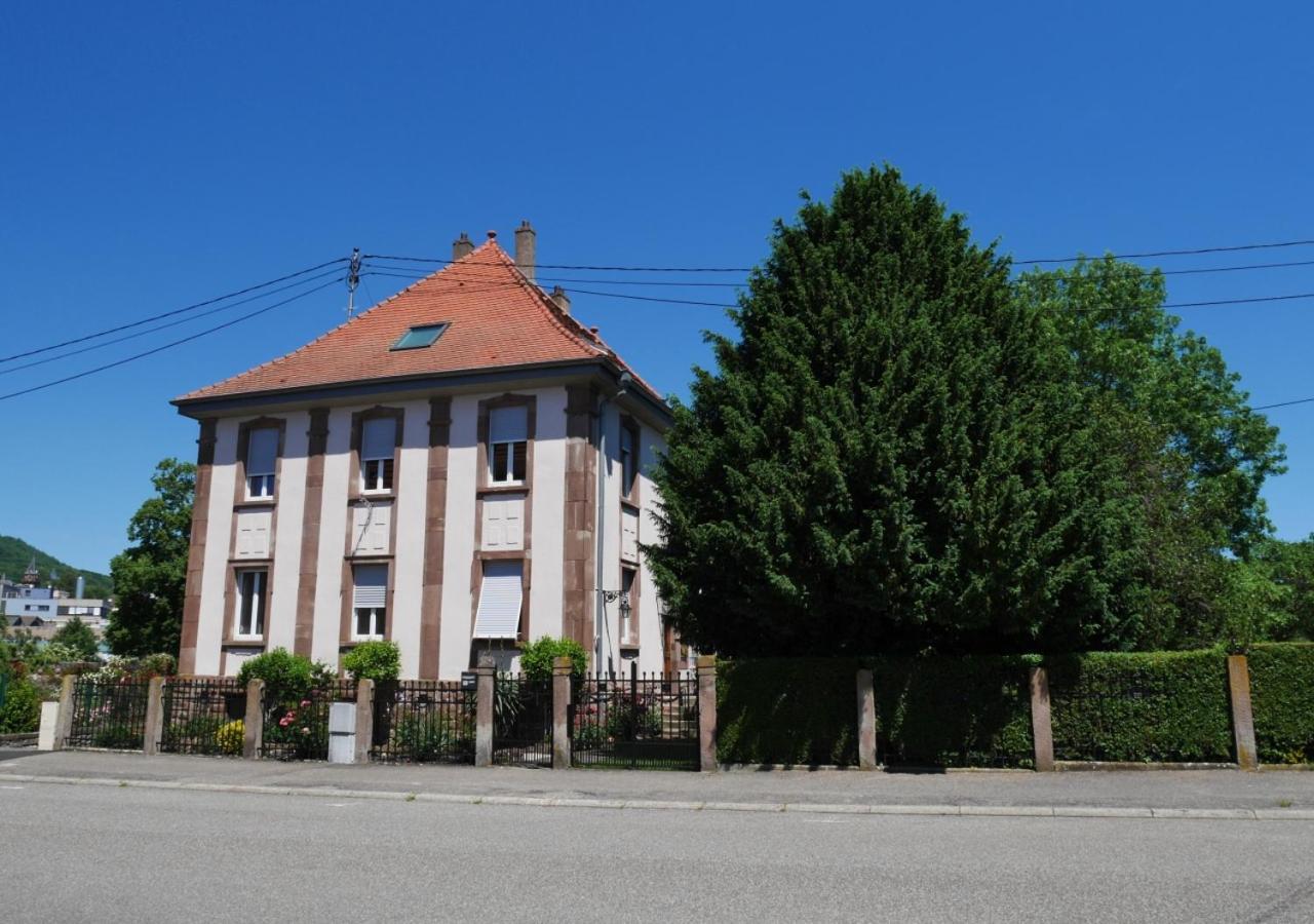 Le Jardin Des Roses Apartman Saverne Kültér fotó