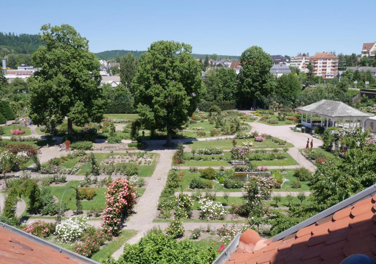 Le Jardin Des Roses Apartman Saverne Kültér fotó