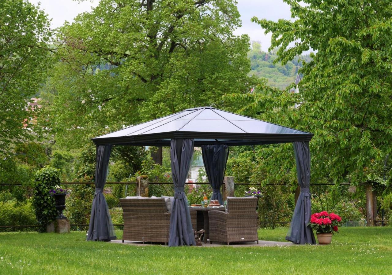 Le Jardin Des Roses Apartman Saverne Kültér fotó