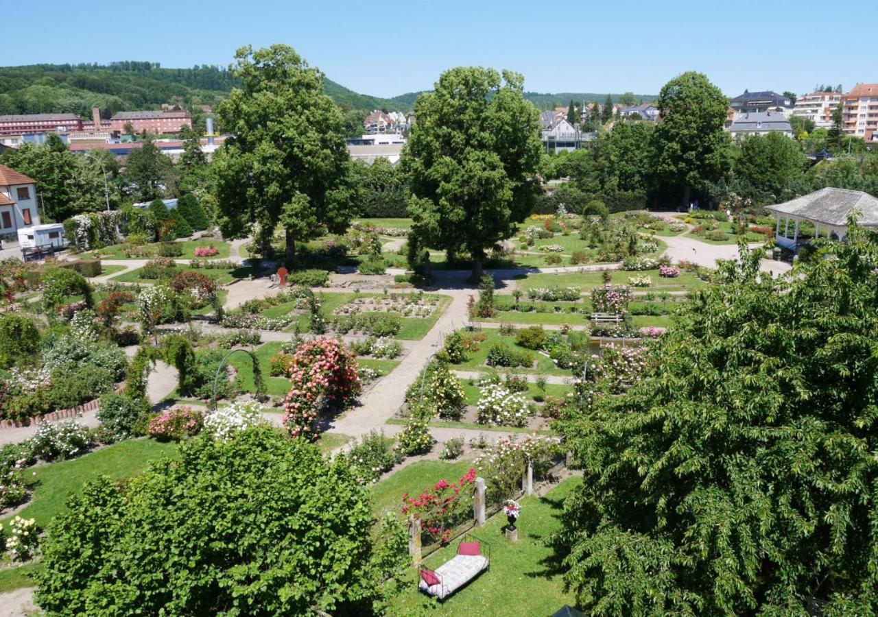 Le Jardin Des Roses Apartman Saverne Kültér fotó